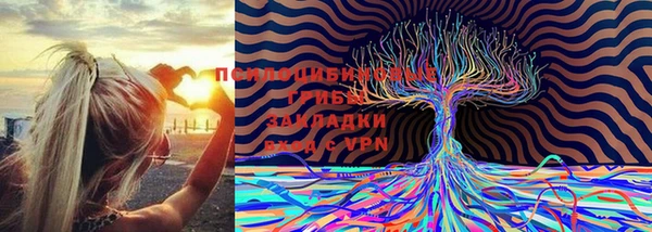 дживик Алексин