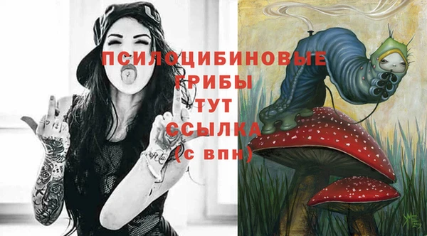 МДПВ Снежинск