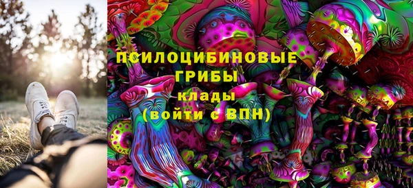 дживик Алексин