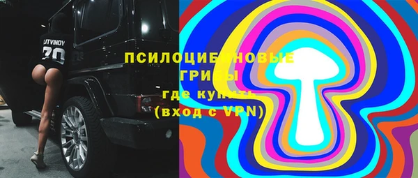 дживик Алексин