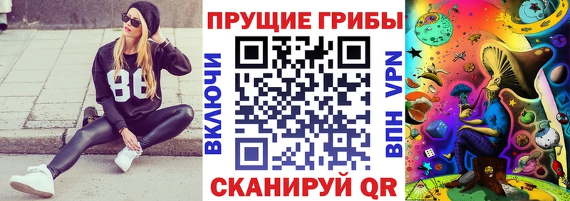 Галлюциногенные грибы ЛСД  ОМГ ОМГ онион  Нарткала 