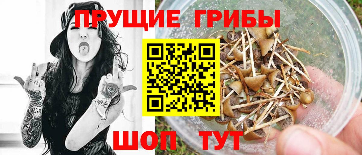 Псилоцибиновые грибы GOLDEN TEACHER Нарткала