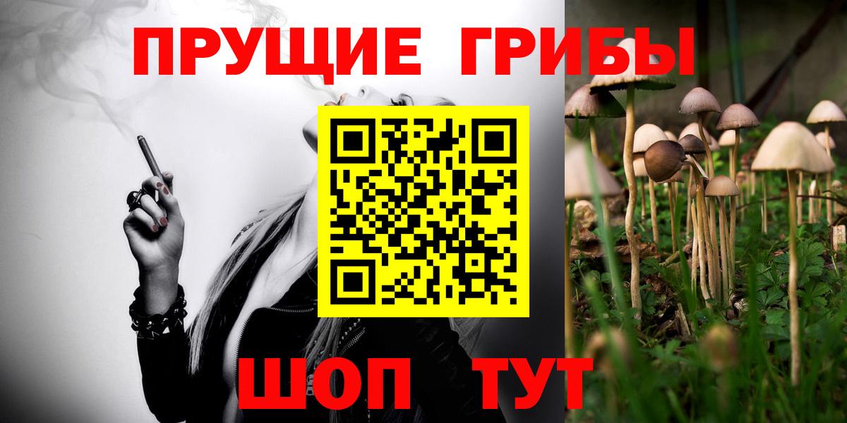 Псилоцибиновые грибы Magic Shrooms  Вход с VPN  Нарткала  Псилоцибиновые грибы MAGIC MUSHROOMS 